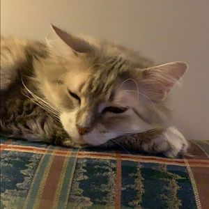 Meet your Posher, Whitney